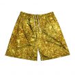 Gold Dust Shorts