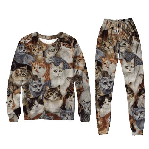 Big Cat Sweater Set