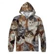 Cats Hoodie