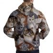 Cats Hoodie Back